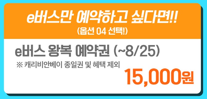 (주)위즈돔 이미지