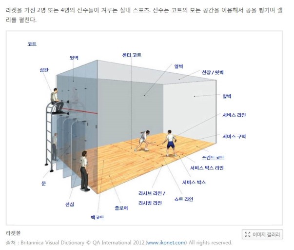 부산스쿼시클럽 이미지