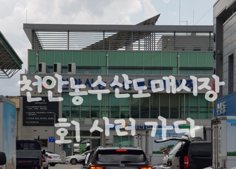 제일건어물&농수산물 이미지
