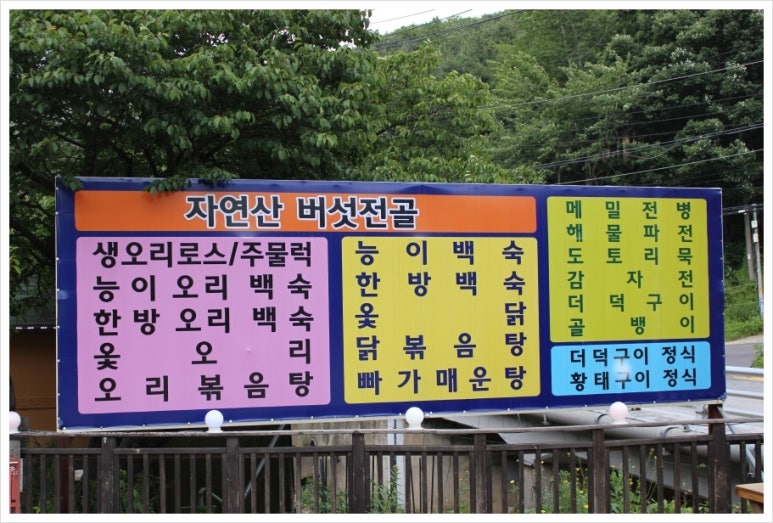 빛고을한방오리 이미지