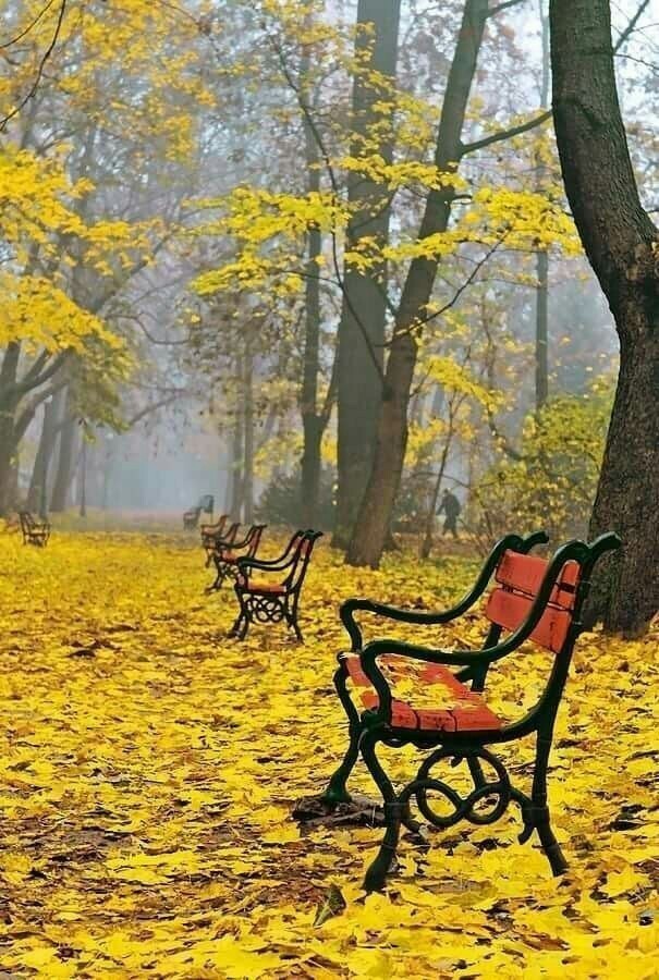 (주)이마트 경산점 이미지