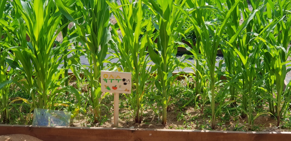 가조초등학교 이미지