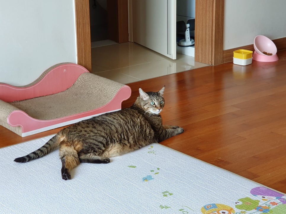 차차하우스 이미지