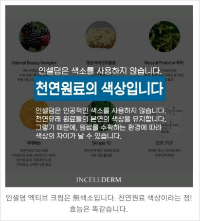 인셀덤 아카데미 이미지