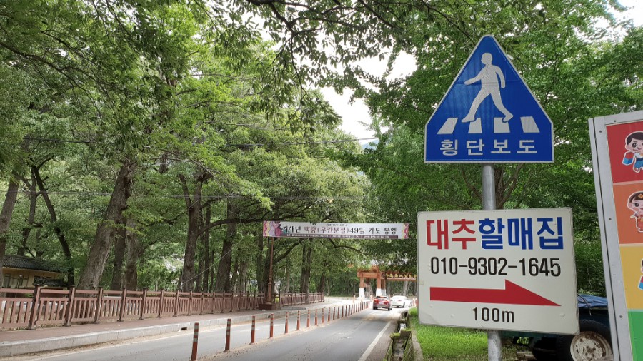 대추할매집 이미지