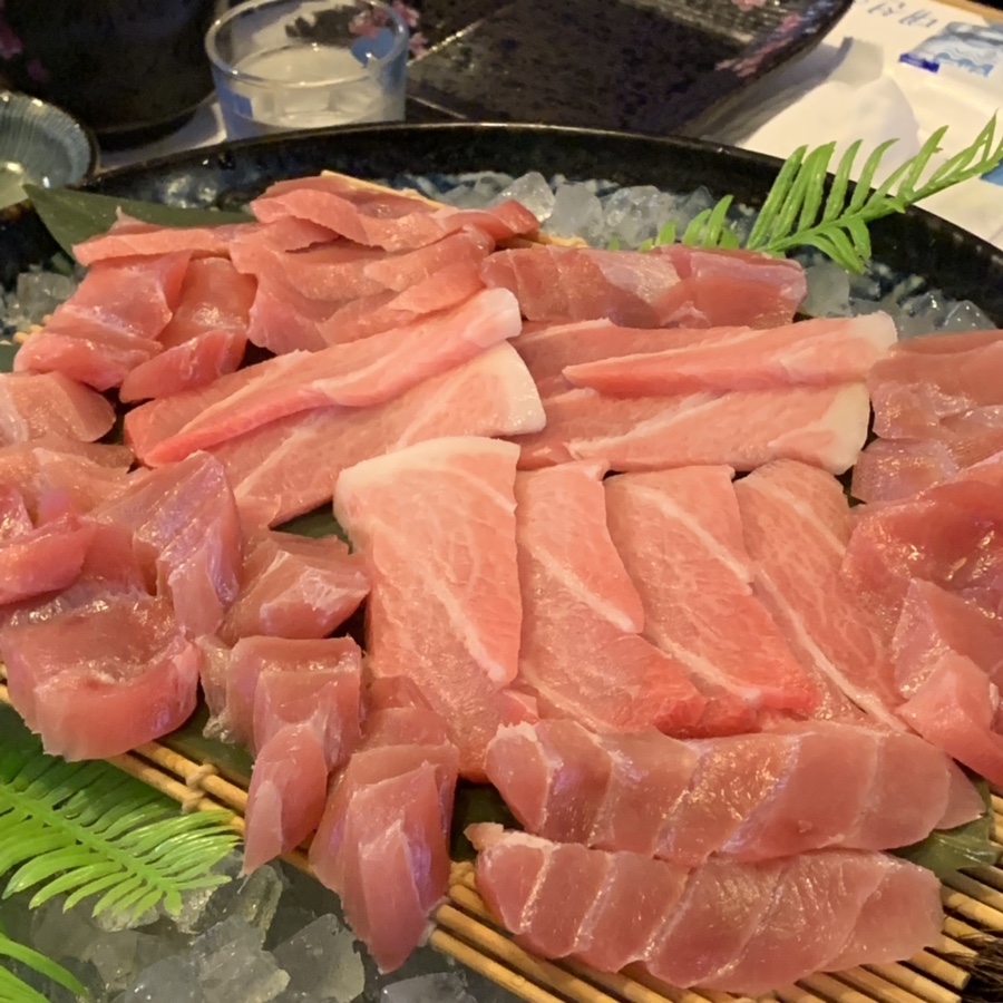 귀빈참치 이미지