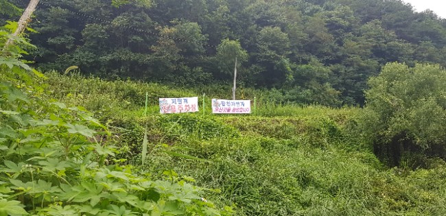 합천 저팔계 참숯불구이 이미지