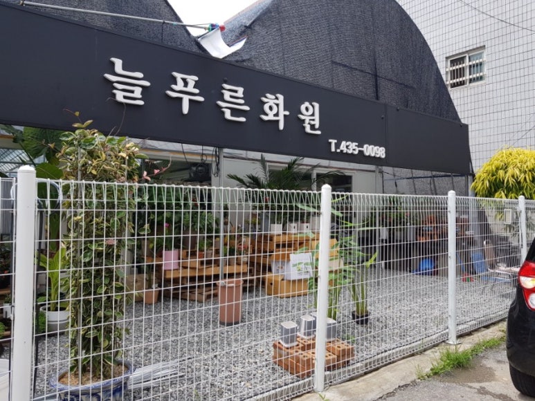 늘푸른화원 이미지
