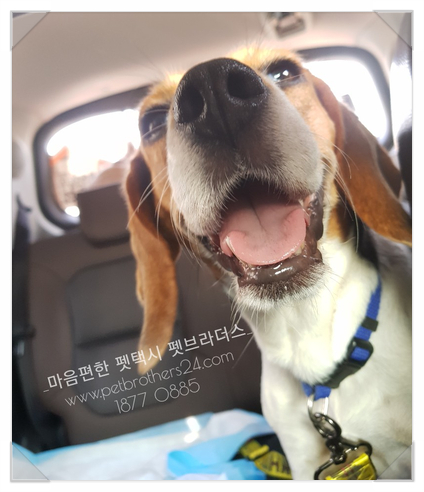 황금알복권방 이미지