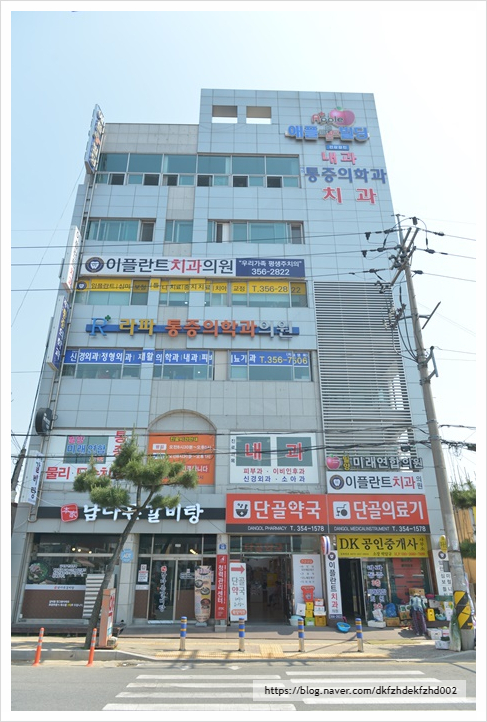 이플란트치과 이미지