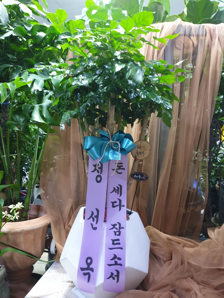 행림꽃집 이미지