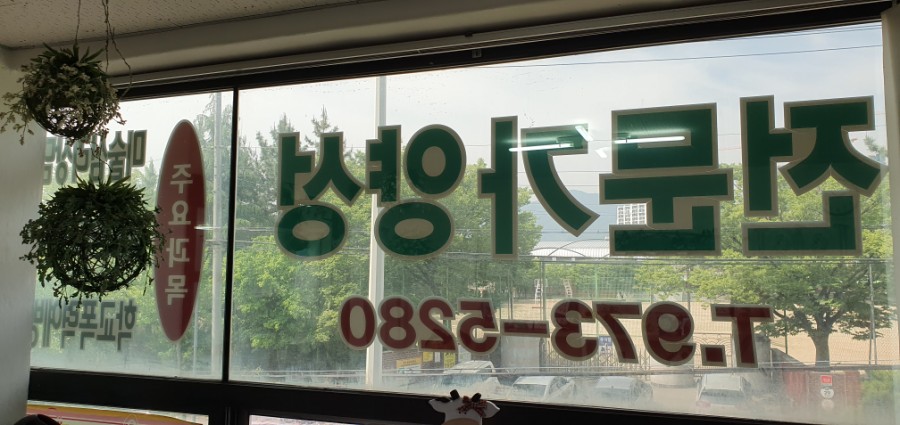 한국치매예방협회칠곡지부 이미지