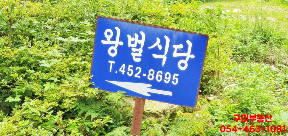 왕벌식당 이미지