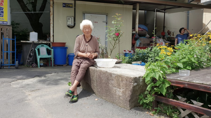 대추할매집 이미지