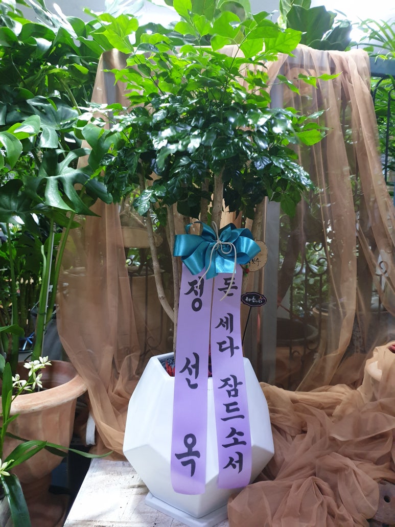 행림꽃집 이미지