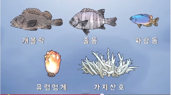 독도어장 이미지