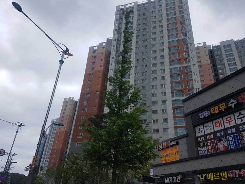에코TNG 이미지