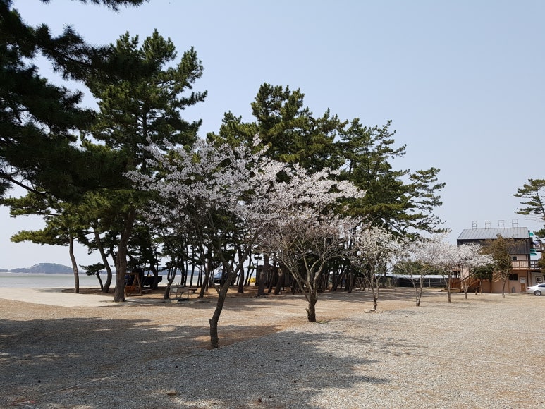 방방나라 이미지