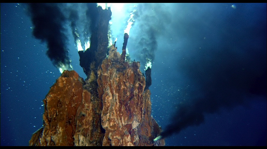 딥씨(Deepsea) 이미지