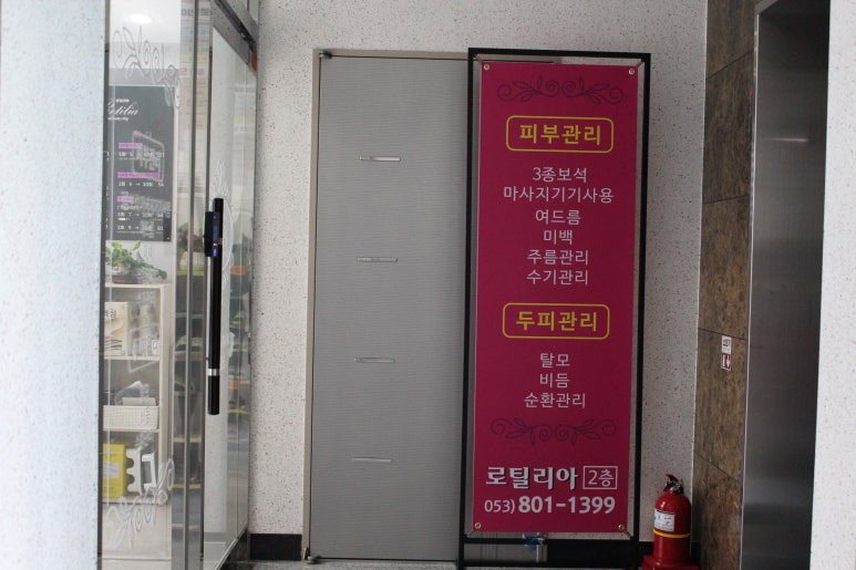 로틸리아 이미지
