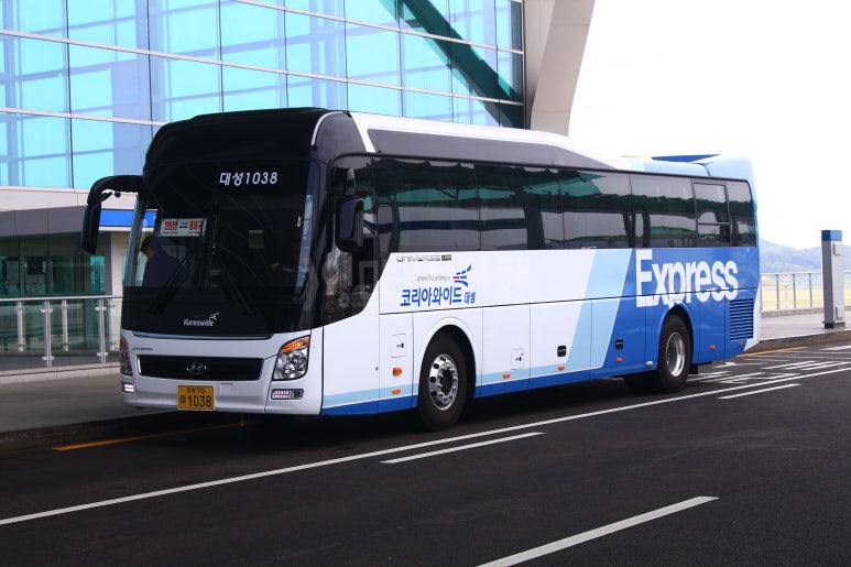 와이드대성 이미지