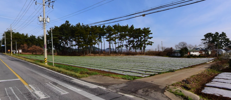 청산리식당 이미지