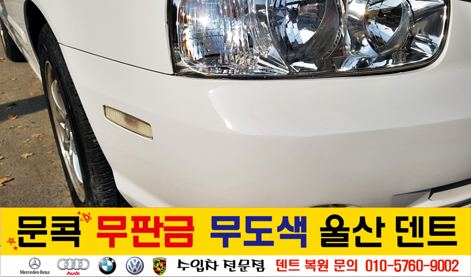 덴트핀다 이미지