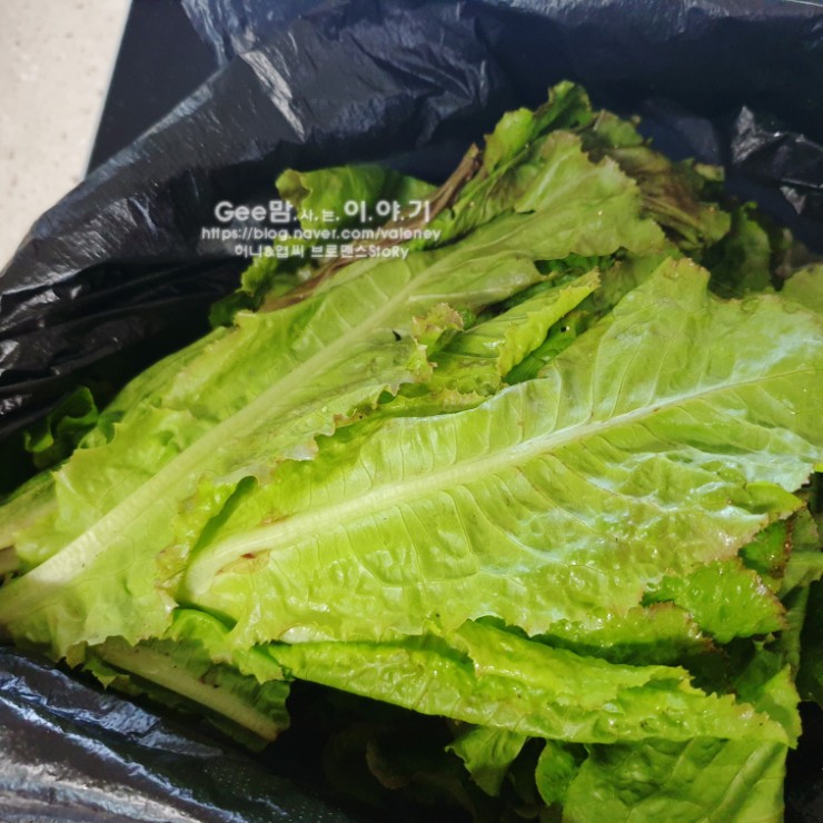 정성사 이미지