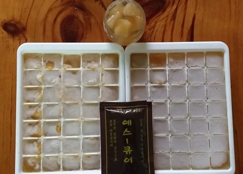참옻지장수연구소 이미지