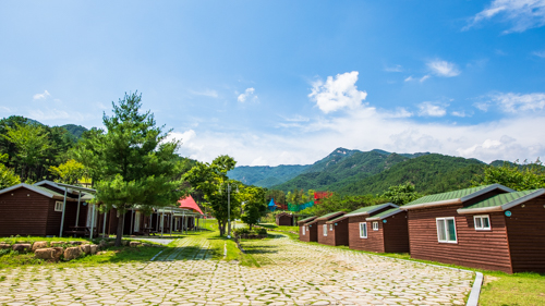 도림사오토캠핑리조트 이미지