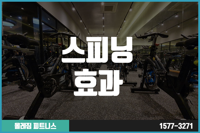 올레짐피트니스 이미지