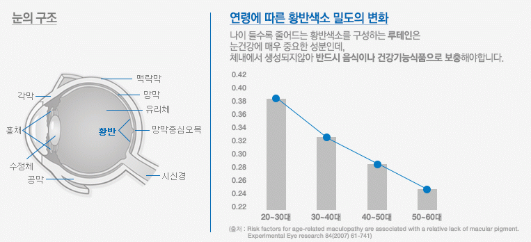 루트120 이미지