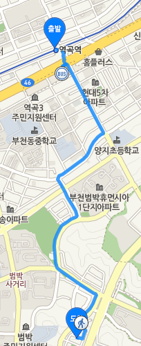 양지수선 이미지