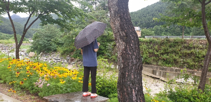 방태산솔마루오토캠핑장 이미지