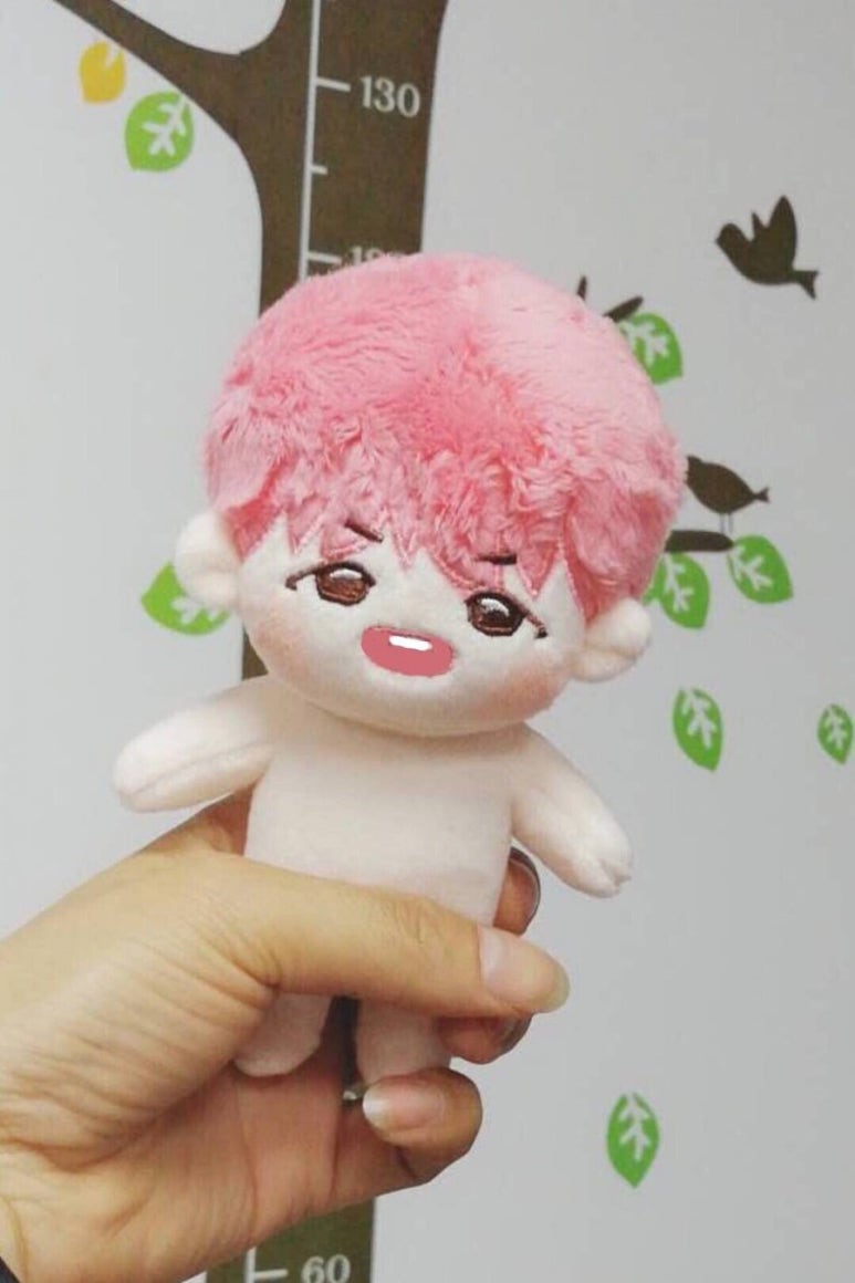 홀리슈 이미지