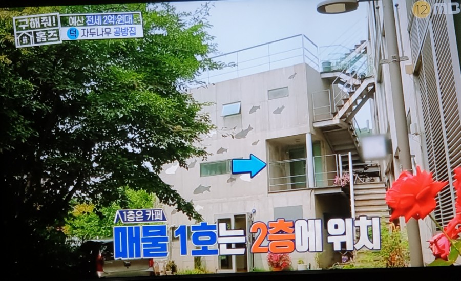 자두나무집 이미지