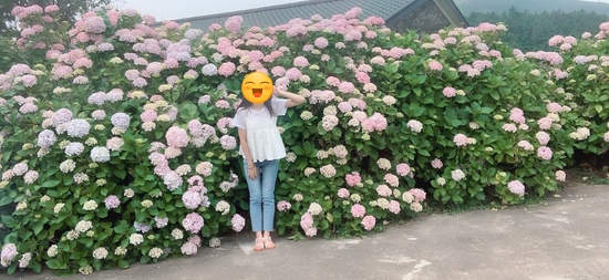 성이시돌젊음의집 이미지