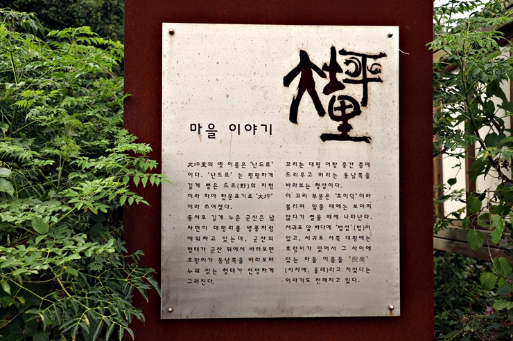 욜로-퀸 이미지