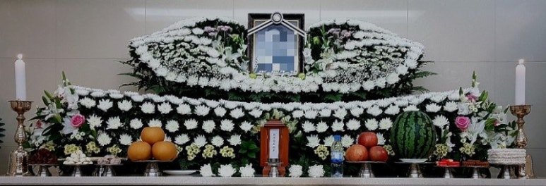 화이트상조 이미지