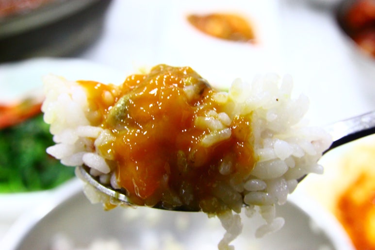 놀러와맛집 이미지