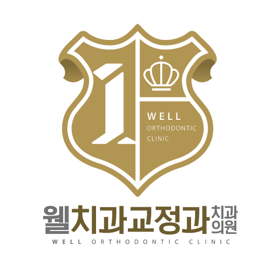 카카오PC정평 이미지