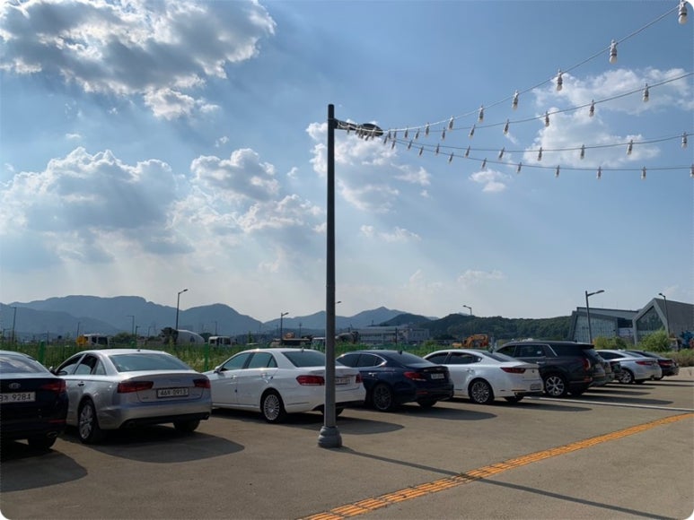 셀세모 이미지