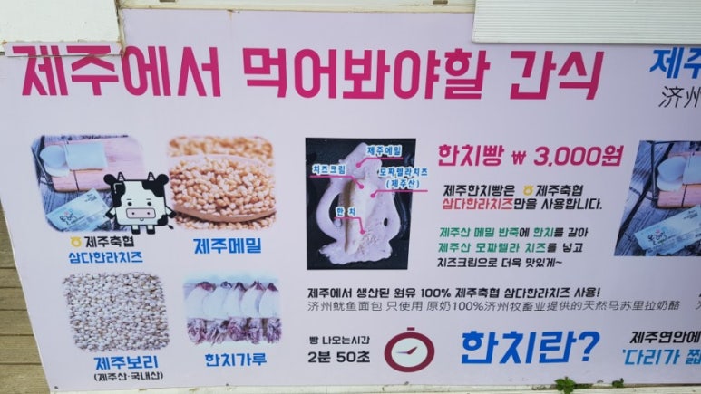 제주한치빵 이미지