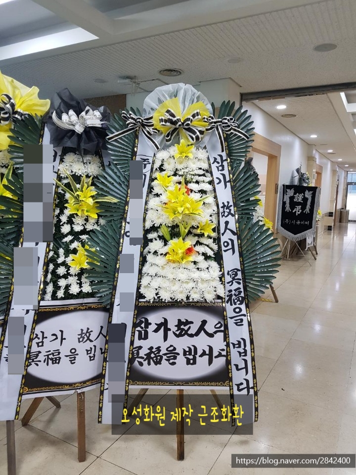 대국화원 이미지