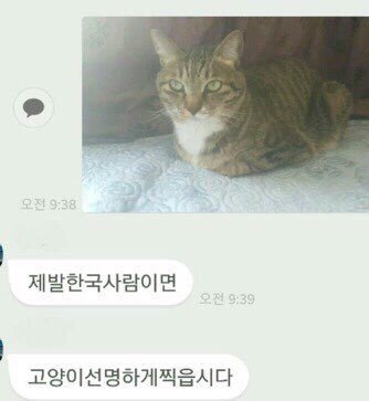 팔당민물장어 이미지