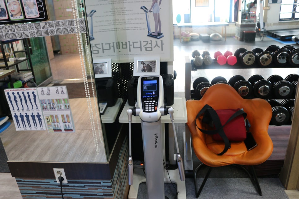 스마트바디스쿨 이미지