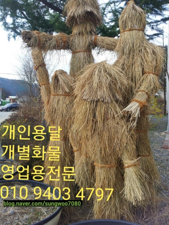 개인화물9 이미지