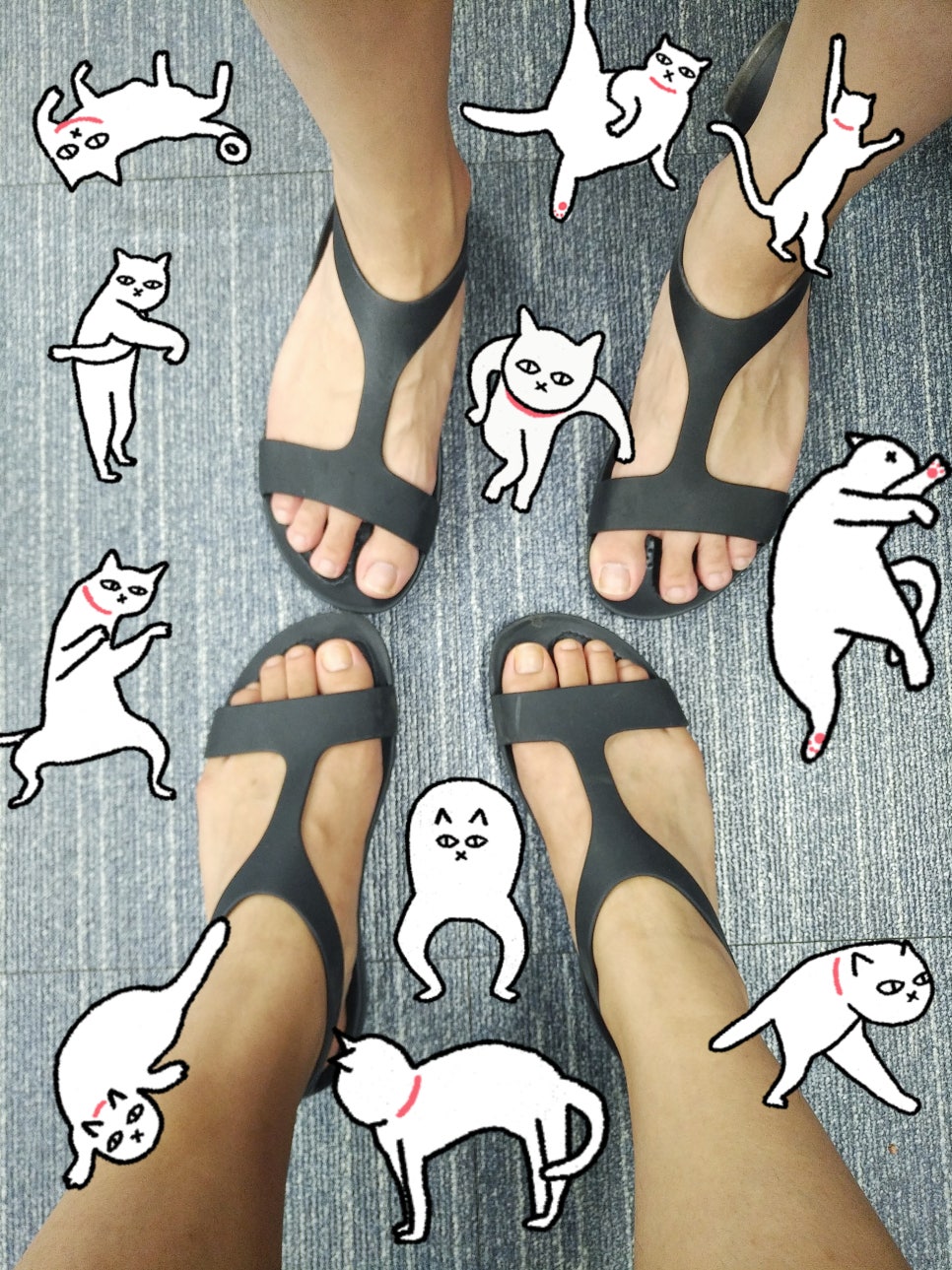 세레나랩 이미지