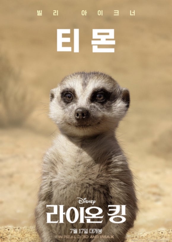 16 이미지