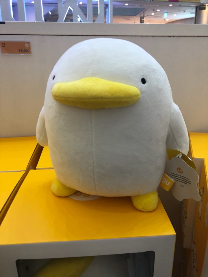 오구본가 이미지